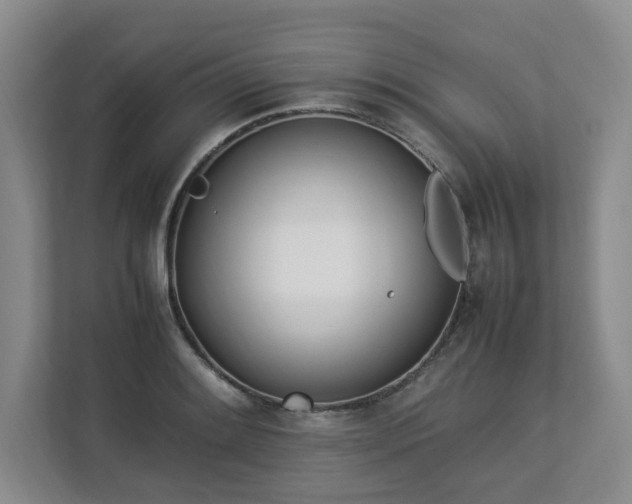 X0000112791084200908211108