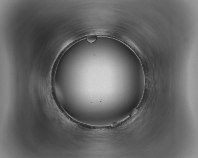 X0000112791087200908211108
