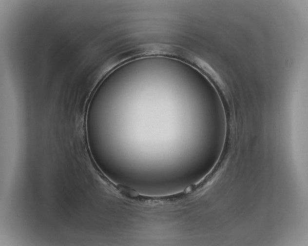 X0000112791089200908211108