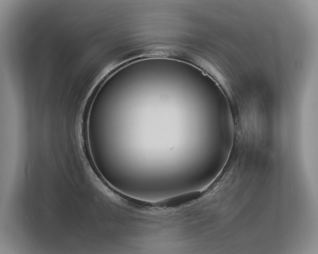 X0000112791091200908211108