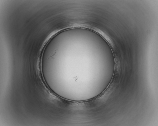 X0000112791094200908211108