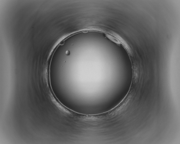 X0000112791100200908211108
