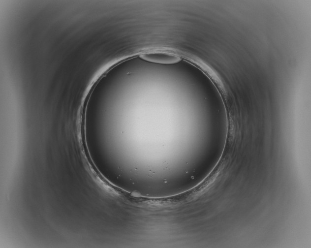 X0000112791102200908211108