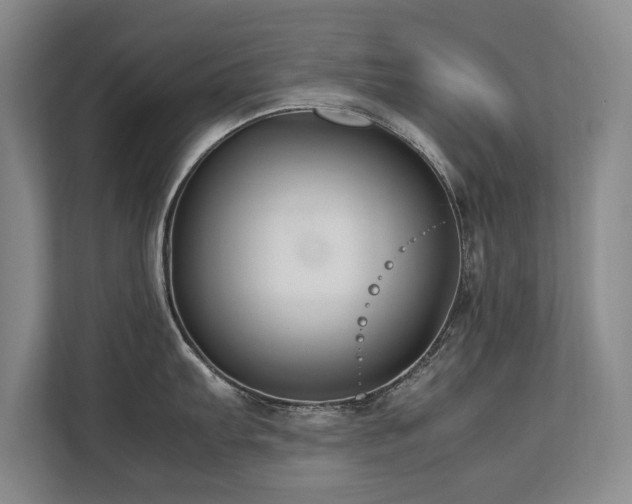X0000112791103200908211108