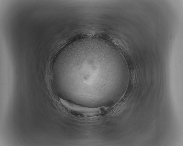 X0000112791105200908211108