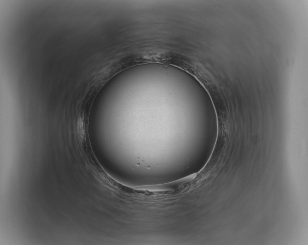 X0000112791106200908211108