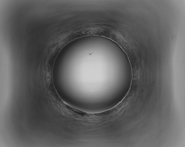 X0000112791109200908211108