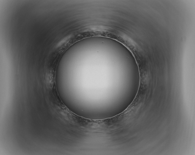 X0000112791110200908211108