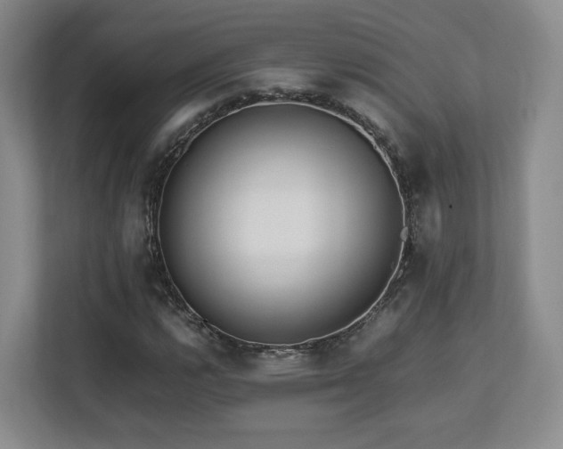 X0000112791112200908211108