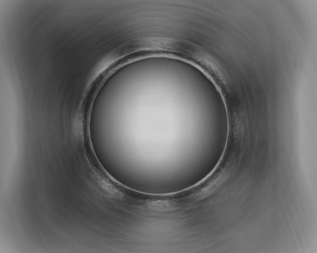 X0000112791114200908211108