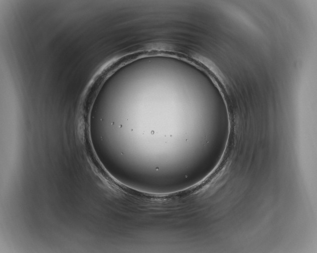 X0000112791115200908211108