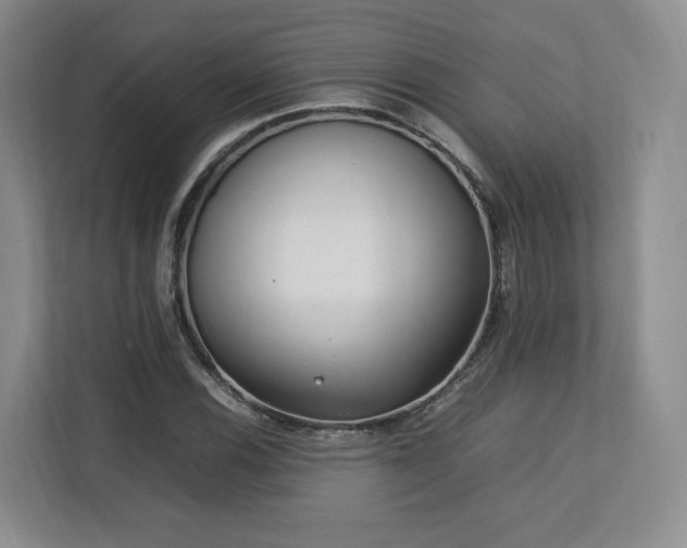 X0000112791116200908211108