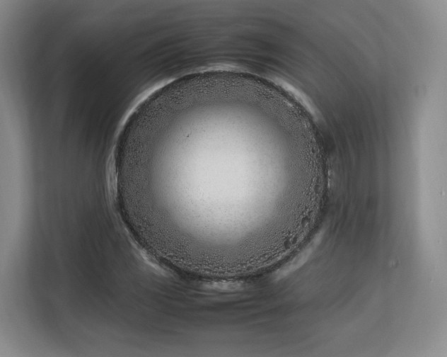 X0000112791117200908211108