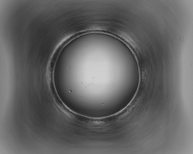 X0000112791119200908211108