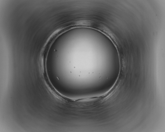 X0000112791123200908211108