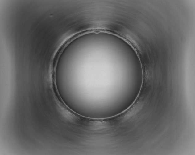 X0000112791124200908211108