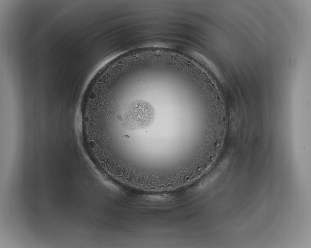 X0000112791125200908211108