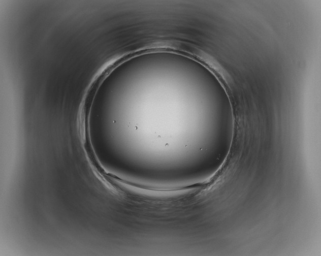X0000112791127200908211108