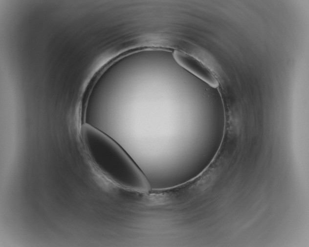 X0000112791128200908211108