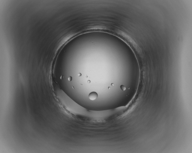 X0000112791129200908211108