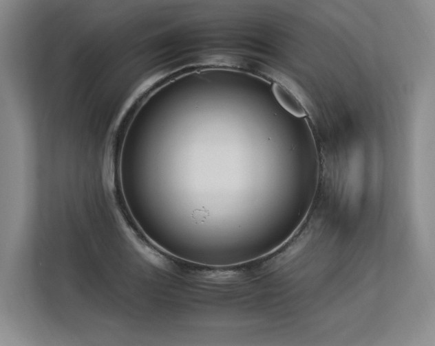 X0000112791131200908211108
