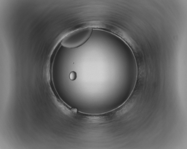 X0000112791132200908211108