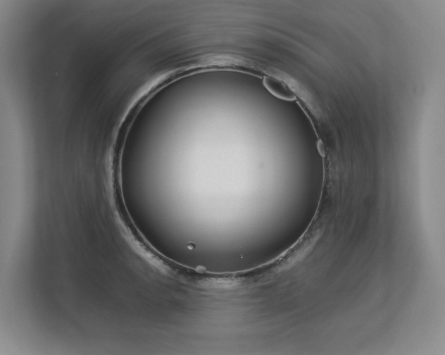 X0000112791134200908211108