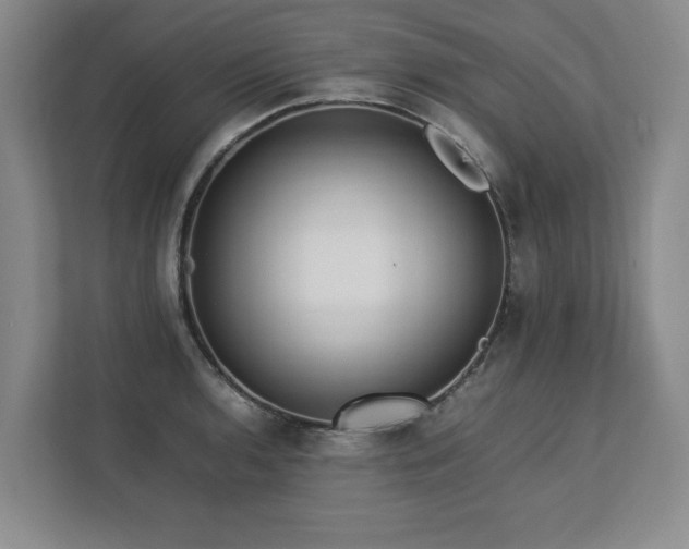 X0000112791136200908211108