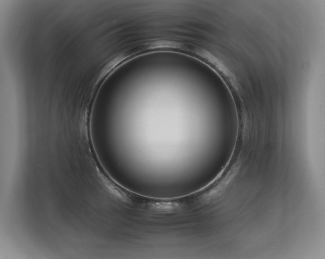X0000112791137200908211108