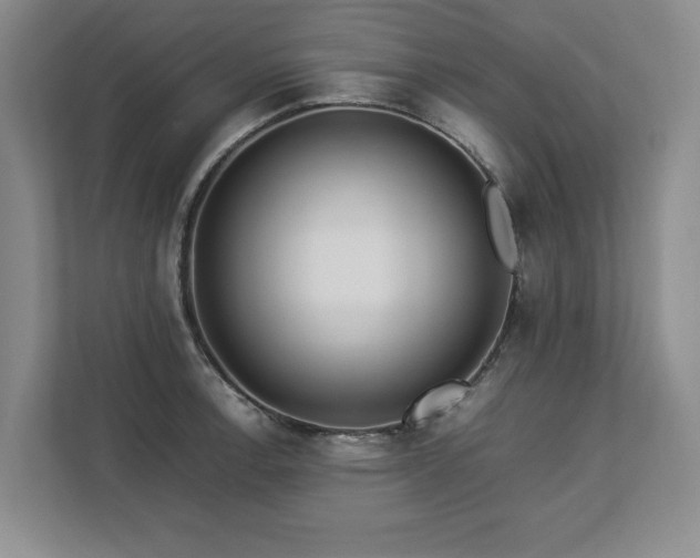X0000112791138200908211108