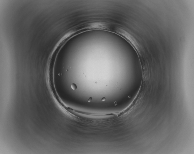 X0000112791139200908211108