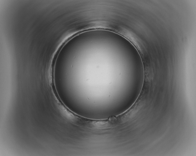 X0000112791140200908211108