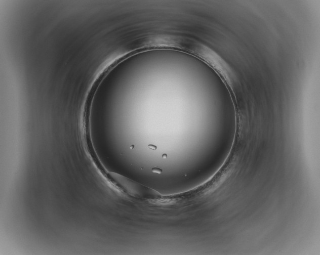 X0000112791141200908211108