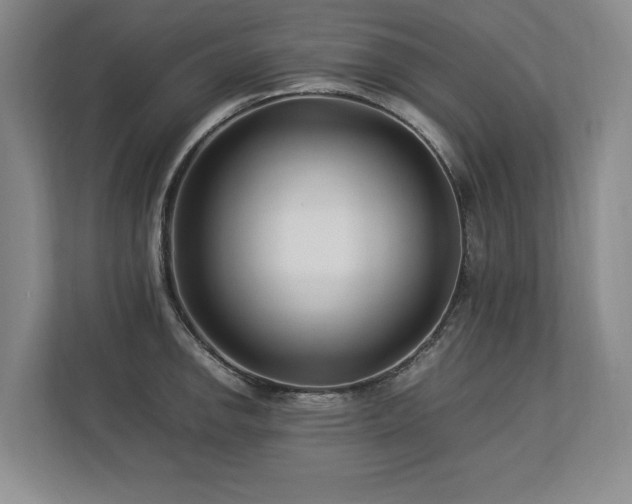 X0000112791142200908211108