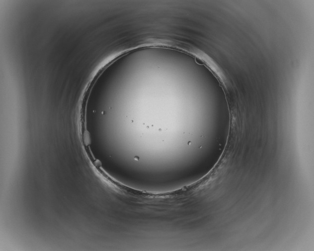 X0000112791143200908211108