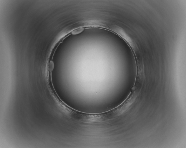 X0000112791144200908211108