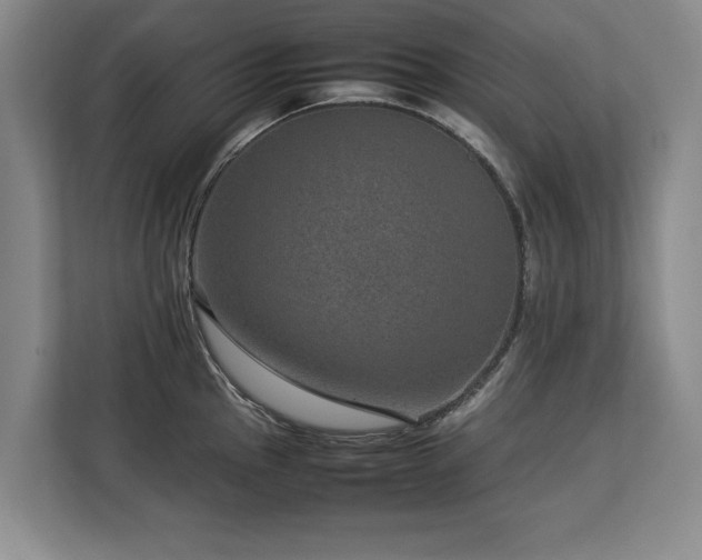 X0000112791145200908211108
