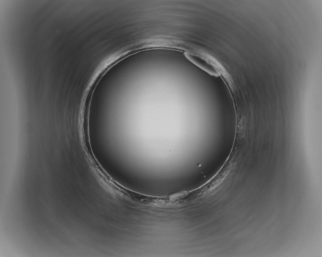 X0000112791146200908211108