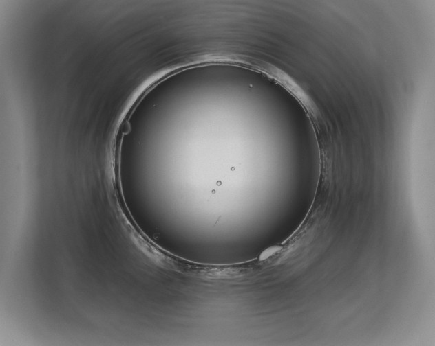 X0000112791148200908211108
