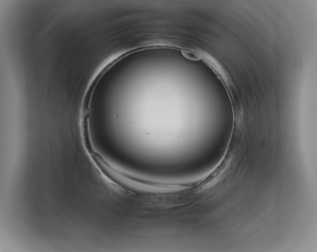 X0000112791149200908211108