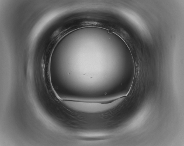 X0000112791151200908211108