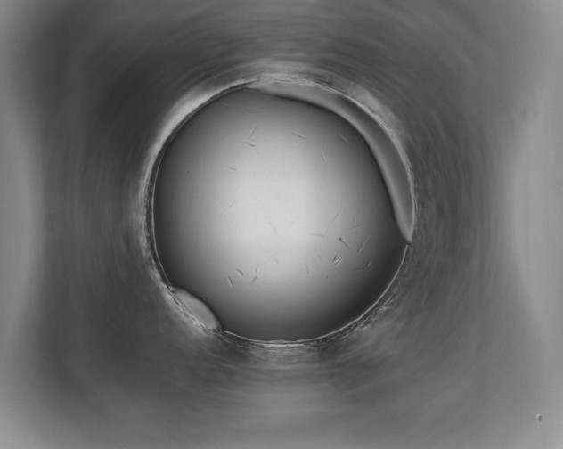 X0000112791152200908211108