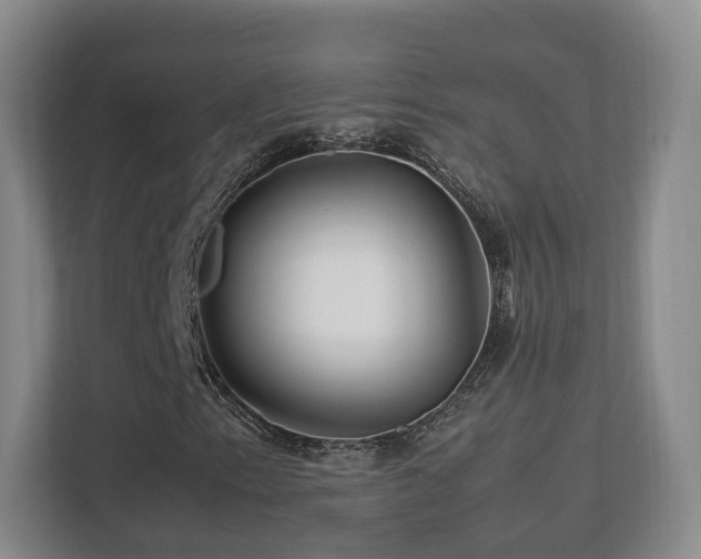 X0000112791153200908211108