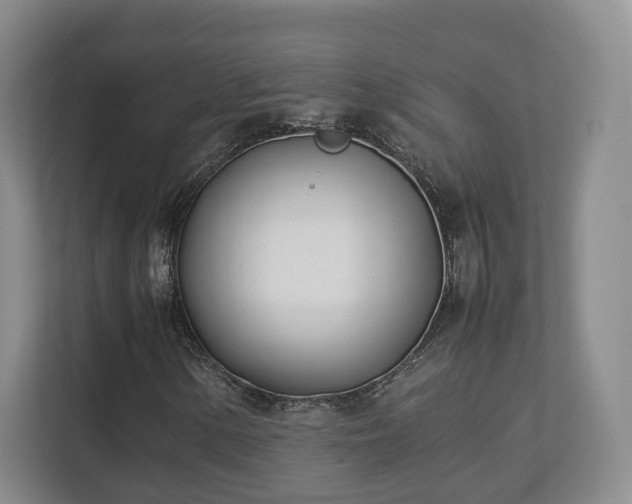X0000112791154200908211108