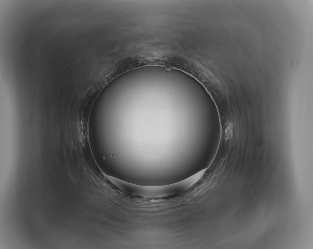 X0000112791156200908211108