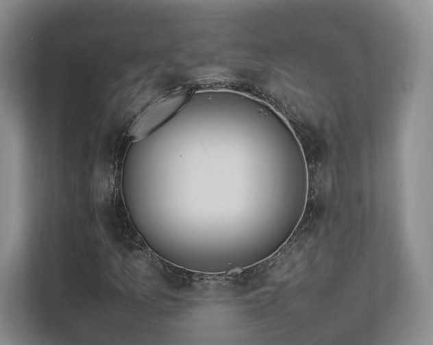 X0000112791157200908211108