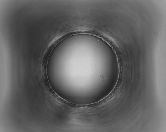 X0000112791160200908211108