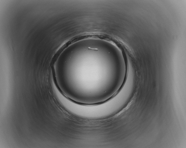 X0000112791162200908211107