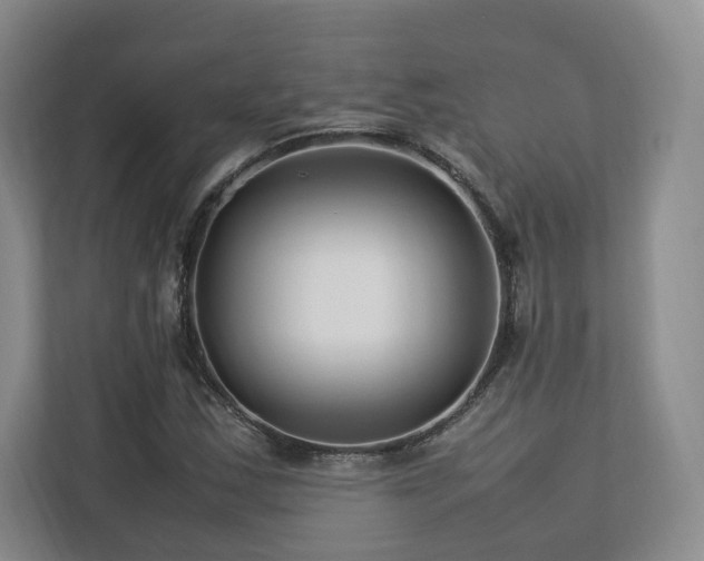 X0000112791163200908211107