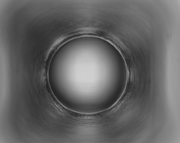 X0000112791164200908211107